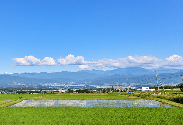 阿久比町を拠点に地元密着